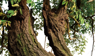 5555555.jpg 5555555.jpg